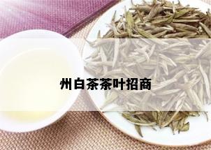 州白茶茶叶招商