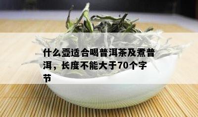 什么壶适合喝普洱茶及煮普洱，长度不能大于70个字节