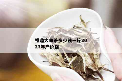 福鼎大白茶多少钱一斤2023年产价格