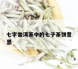 七字普洱茶中的七子茶饼意思