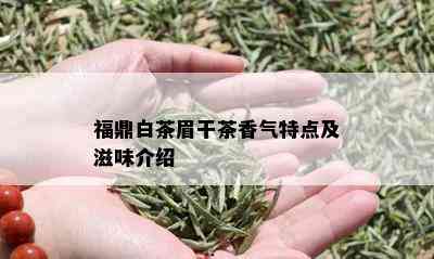 福鼎白茶眉干茶香气特点及滋味介绍