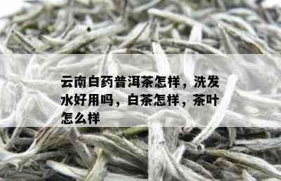 云南白普洱茶怎样，洗发水好用吗，白茶怎样，茶叶怎么样