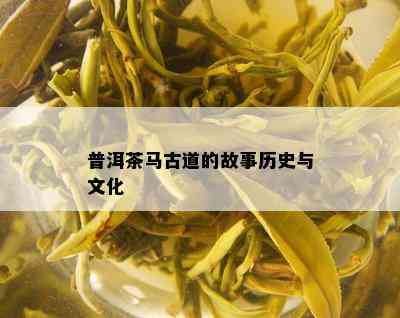 普洱茶马古道的故事历史与文化