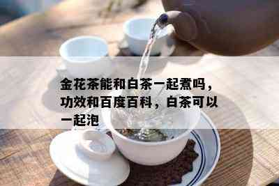 金花茶能和白茶一起煮吗，功效和百度百科，白茶可以一起泡