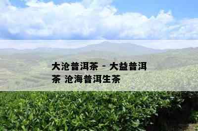 大沧普洱茶 - 大益普洱茶 沧海普洱生茶