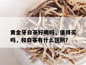 黄金牙白茶好喝吗，值得买吗，和白茶有什么区别？