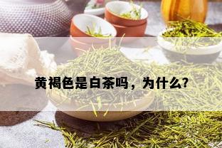 黄褐色是白茶吗，为什么？