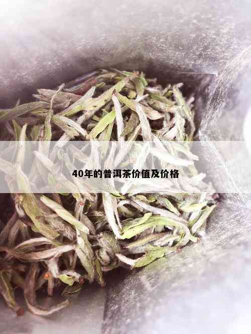 40年的普洱茶价值及价格