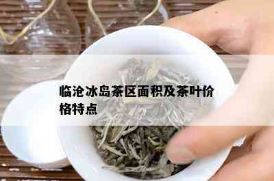 临沧冰岛茶区面积及茶叶价格特点