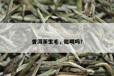 普洱茶生毛，能喝吗？