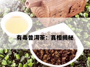 有普洱茶：真相揭秘