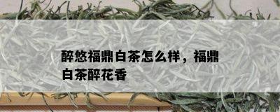 醉悠福鼎白茶怎么样，福鼎白茶醉花香