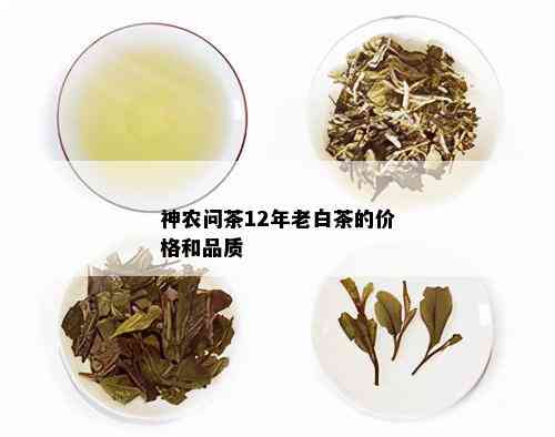 神农问茶12年老白茶的价格和品质