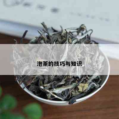 泡茶的技巧与知识