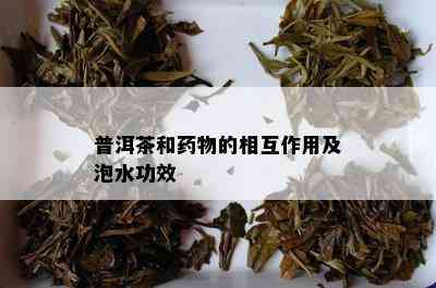 普洱茶和物的相互作用及泡水功效