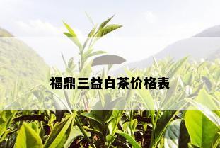 福鼎三益白茶价格表