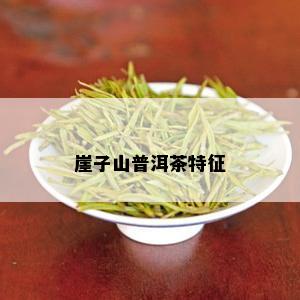 崖子山普洱茶特征