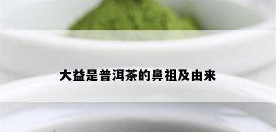 大益是普洱茶的鼻祖及由来