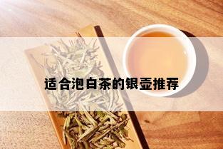 适合泡白茶的银壶推荐