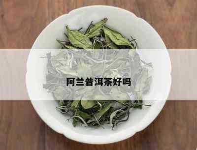 阿兰普洱茶好吗