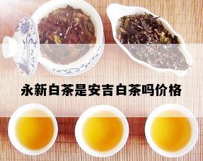 永新白茶是安吉白茶吗价格