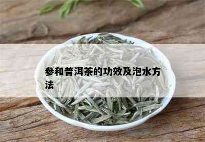 参和普洱茶的功效及泡水方法