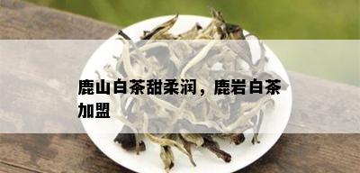 鹿山白茶甜柔润，鹿岩白茶加盟