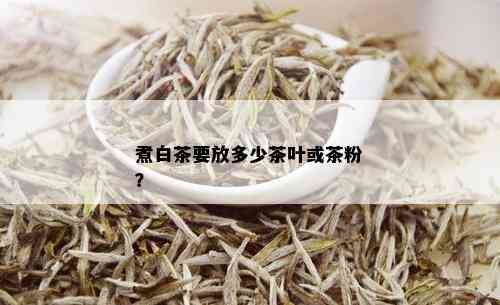 煮白茶要放多少茶叶或茶粉？