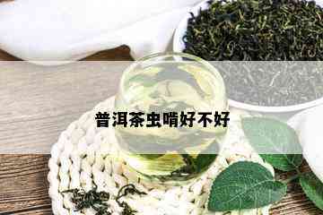 普洱茶虫啃好不好