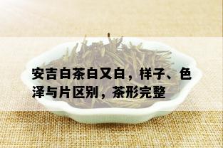 安吉白茶白又白，样子、色泽与片区别，茶形完整