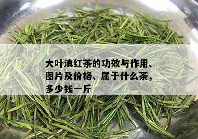 大叶滇红茶的功效与作用、图片及价格、属于什么茶，多少钱一斤