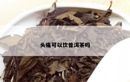 头痛可以饮普洱茶吗