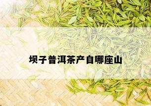 坝子普洱茶产自哪座山