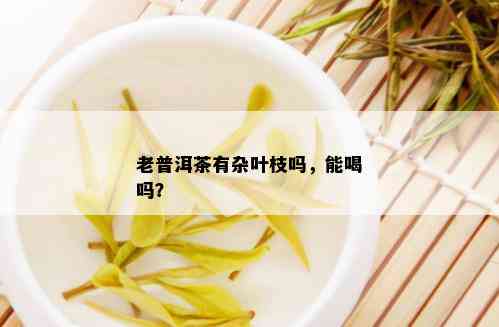 老普洱茶有杂叶枝吗，能喝吗？