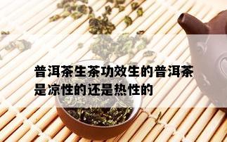 普洱茶生茶功效生的普洱茶是凉性的还是热性的