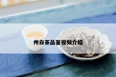 州白茶品鉴视频介绍