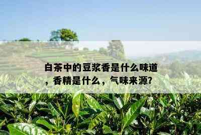 白茶中的豆浆香是什么味道，香精是什么，气味来源？