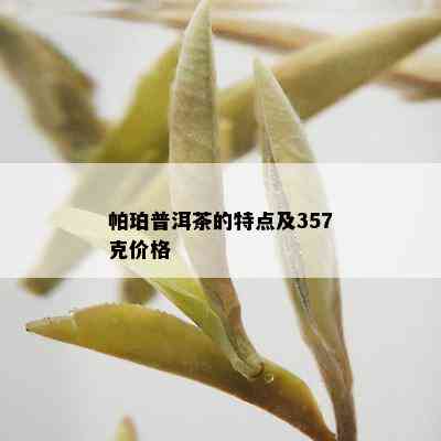 帕珀普洱茶的特点及357克价格