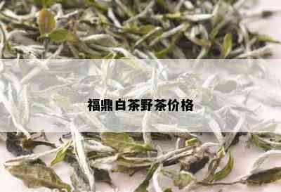 福鼎白茶野茶价格