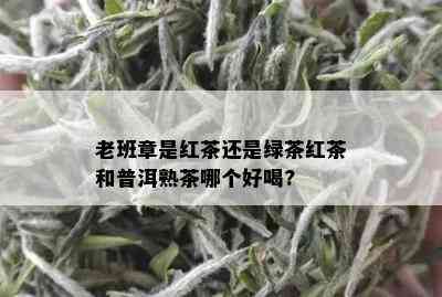 老班章是红茶还是绿茶红茶和普洱熟茶哪个好喝?