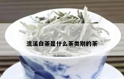 流溪白茶是什么茶类别的茶