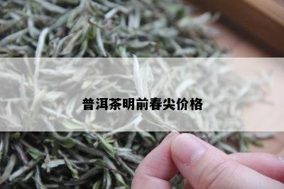 普洱茶明前春尖价格