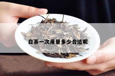 白茶一次用量多少合适呢