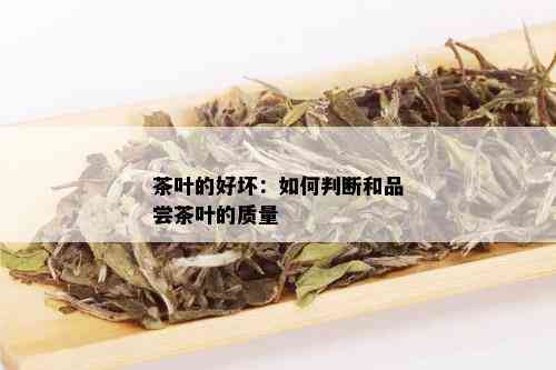 茶叶的好坏：如何判断和品尝茶叶的质量