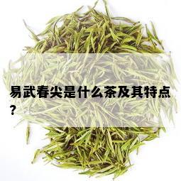 易武春尖是什么茶及其特点?