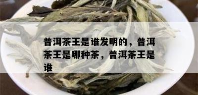 普洱茶王是谁发明的，普洱茶王是哪种茶，普洱茶王是谁