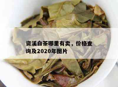 资溪白茶哪里有卖，价格查询及2020年图片