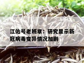 江佑号老班章：研究显示新冠病变异情况加剧