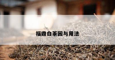 福鼎白茶困与用法