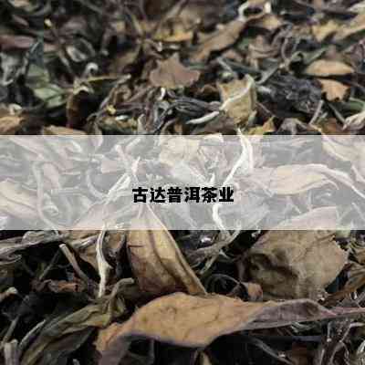 古达普洱茶业